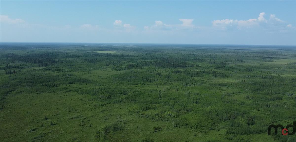 Half Section of Farm / Recreational Land RM of Grahamdale, MB Real